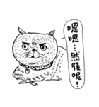 eh！cat！ Black and white illustrations（個別スタンプ：38）