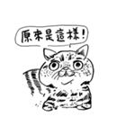 eh！cat！ Black and white illustrations（個別スタンプ：40）