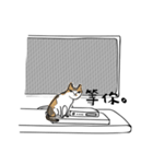 DODO ＆ LULU - transparent sticker（個別スタンプ：3）
