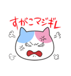 すがこさんのための名前スタンプ（個別スタンプ：23）