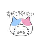すがこさんのための名前スタンプ（個別スタンプ：38）