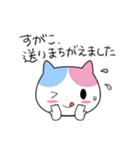 すがこさんのための名前スタンプ（個別スタンプ：40）