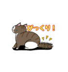 まる+胡桃+すず3（個別スタンプ：8）