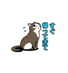 まる+胡桃+すず3（個別スタンプ：14）