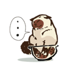 Nil black cat.（個別スタンプ：20）