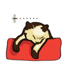 Nil black cat.（個別スタンプ：24）