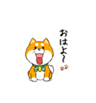 柴犬専科（個別スタンプ：1）