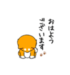 柴犬専科（個別スタンプ：2）