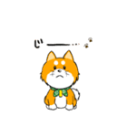 柴犬専科（個別スタンプ：3）