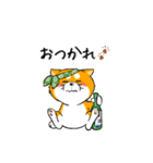 柴犬専科（個別スタンプ：7）