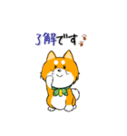 柴犬専科（個別スタンプ：8）