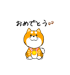 柴犬専科（個別スタンプ：11）