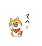 柴犬専科（個別スタンプ：16）