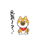 柴犬専科（個別スタンプ：18）