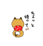 柴犬専科（個別スタンプ：20）