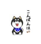 柴犬専科（個別スタンプ：21）