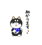 柴犬専科（個別スタンプ：23）