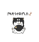 柴犬専科（個別スタンプ：25）