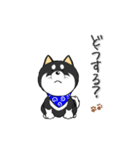 柴犬専科（個別スタンプ：26）