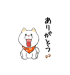 柴犬専科（個別スタンプ：29）