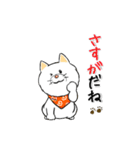 柴犬専科（個別スタンプ：31）