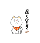 柴犬専科（個別スタンプ：32）