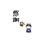 柴犬専科（個別スタンプ：38）