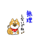 柴犬専科（個別スタンプ：39）