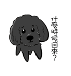 Iris and Poodle（個別スタンプ：5）