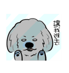 Iris and Poodle（個別スタンプ：13）