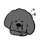 Iris and Poodle（個別スタンプ：30）