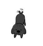 Iris and Poodle（個別スタンプ：33）