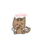 carameow（個別スタンプ：6）