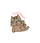carameow（個別スタンプ：14）