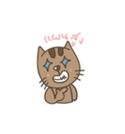 carameow（個別スタンプ：36）