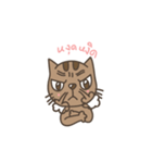 carameow（個別スタンプ：37）