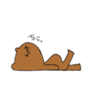 CoolBear（個別スタンプ：11）