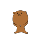 CoolBear（個別スタンプ：25）