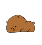 CoolBear（個別スタンプ：31）