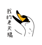 Hello - CrazyNews（個別スタンプ：16）