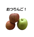 りんご。（個別スタンプ：12）