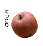 りんご。（個別スタンプ：29）