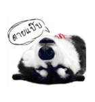 Husky Doggy（個別スタンプ：18）