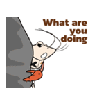 Funny Crayfish (english version)（個別スタンプ：14）