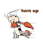 Funny Crayfish (english version)（個別スタンプ：31）