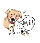 BUBU's daily（個別スタンプ：1）