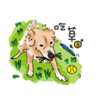 BUBU's daily（個別スタンプ：4）