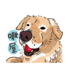 BUBU's daily（個別スタンプ：6）