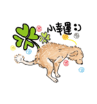 BUBU's daily（個別スタンプ：8）