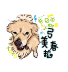 BUBU's daily（個別スタンプ：16）